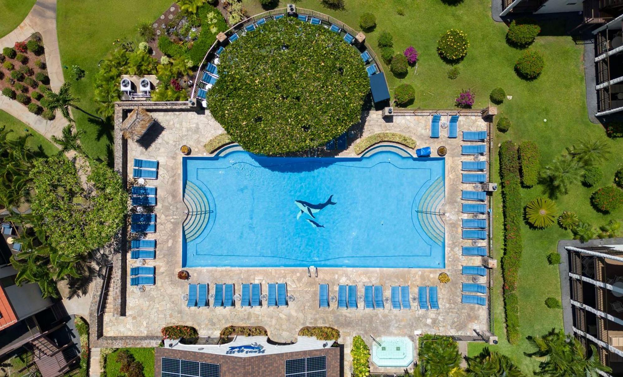 Aston Maui Hill Aparthotel Wailea  Exteriör bild